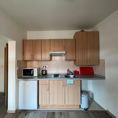 Modern Krymska & Francouzska Street Apartment *